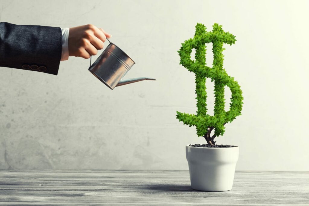 Man Watering Green Dollar Tree Growing In White Pot