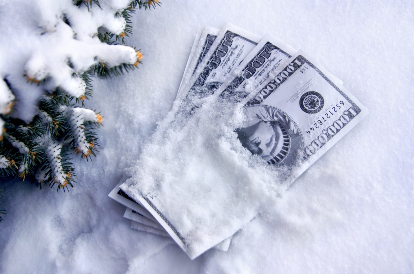 Cold cash lays in the snow