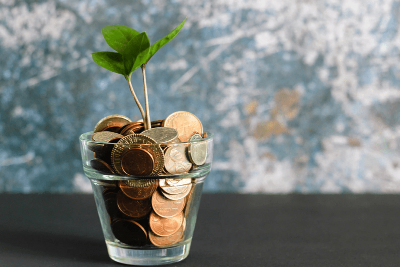 coins and green plant growing in glass bottle